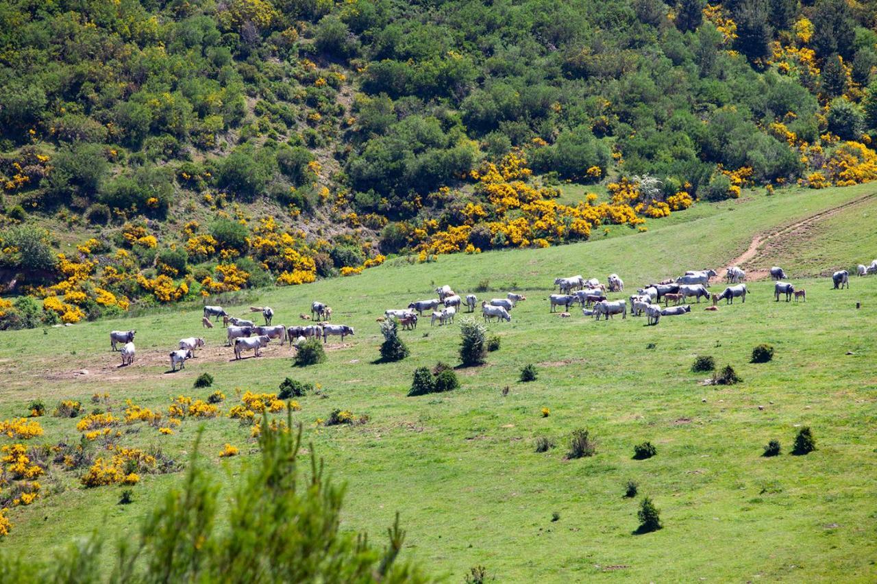 Casa Rural La Majada De Penacorada Fuentes de Peñacorada 外观 照片